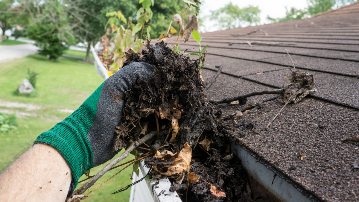 Top Signs Your Gutters Are Failing (And What It’s Costing You)